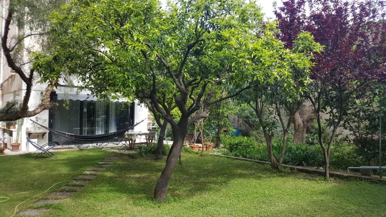 Nel Giardino Degli Agrumi 巴勒莫 外观 照片