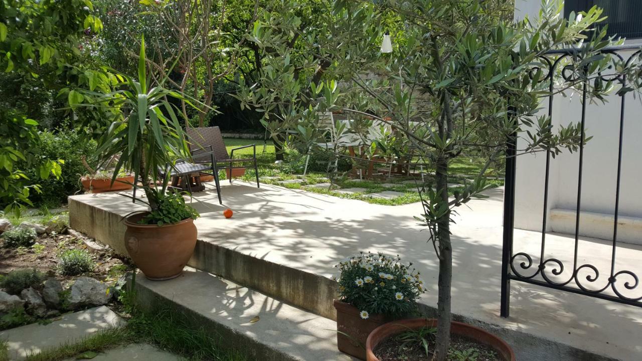 Nel Giardino Degli Agrumi 巴勒莫 外观 照片